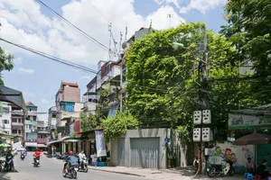 Sustainable Urban Living: The Stunning Green-Covered House in Hanoi Capturing International Architectural Attention - image 2