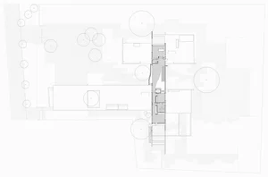 Sustainable Luxury: Exploring the Unique Biophilic Design of a Modern Forest Villa - image 0