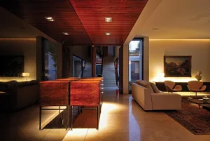 Sustainable Luxury: Exploring the Unique Biophilic Design of a Modern Forest Villa - image 14