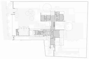 Sustainable Luxury: Exploring the Unique Biophilic Design of a Modern Forest Villa - image 4