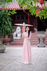 Elegant Vietnamese Beauty Amidst Ancient Architecture - image 5