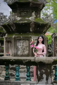 Elegant Vietnamese Beauty Amidst Ancient Architecture - image 9