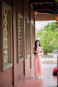 Elegant Vietnamese Beauty Amidst Ancient Architecture - image 4