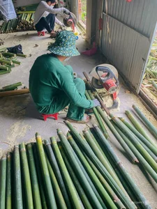 The Bamboo Tube Coffee Trend: A Patriotic and Eco-Friendly Experience in Vietnam - image 6