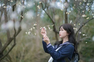 Visual Storytelling Excellence: YiTuYu Art Language Vol.6512 with Pao Fu Xiao Fang - image 23