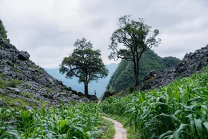 Exploring Northern Vietnam: Ma Pi Leng and Meo Vac Become Summer Hotspots - image 7