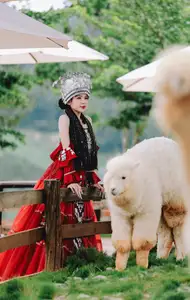 Ethnic Woman in Vibrant Traditional Attire 1000024497 - image 3