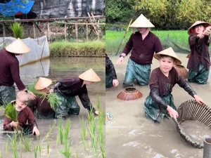 Experience the Golden Magic of Ha Giang: A Guide to Vietnam's Stunning Ripe Rice Season for Adventurous Travelers - image 4