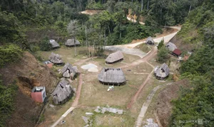 The Decline of Pơ mu Ecological Tourist Village: A Glimpse into Vietnam's Fading Architectural Heritage - image 2