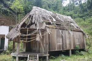 The Decline of Pơ mu Ecological Tourist Village: A Glimpse into Vietnam's Fading Architectural Heritage - image 1
