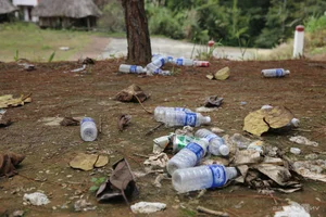 The Decline of Pơ mu Ecological Tourist Village: A Glimpse into Vietnam's Fading Architectural Heritage - image 4