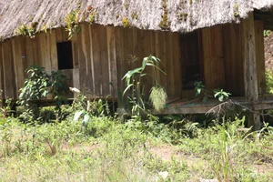 The Decline of Pơ mu Ecological Tourist Village: A Glimpse into Vietnam's Fading Architectural Heritage - image 6