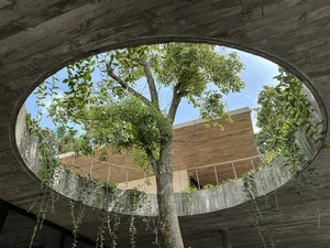 Exploring the Serene Pine Forest Villa in Hanoi: A Masterpiece of Modern Architecture and Nature - image 9