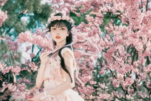 Modern Fashion Aesthetics in Art Language Vol. 6562 Xing Zhi Ka Tao - image 9