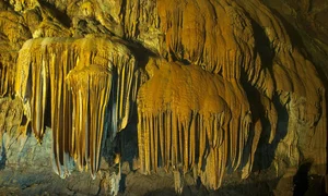 Vietnam’s Top 7 Tourist Magnets Recommended by Indian Media for Global Travelers - image 0