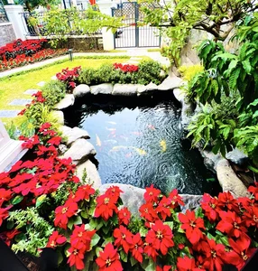 Inside the Stunning $2.5 Million Lakeside Villa of Vietnam's Wealthiest TV Star - image 8