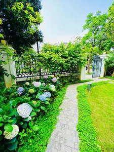 Inside the Stunning $2.5 Million Lakeside Villa of Vietnam's Wealthiest TV Star - image 7