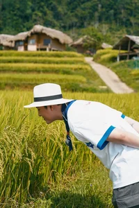 Hoang Su Phi Golden Season: A Gen Z Travel Guide to Ha Giang - image 2