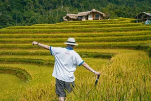 Hoang Su Phi Golden Season: A Gen Z Travel Guide to Ha Giang - image 5