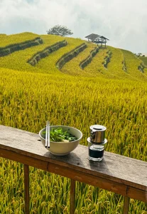 Hoang Su Phi Golden Season: A Gen Z Travel Guide to Ha Giang - image 0