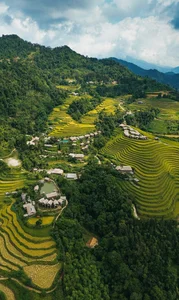 Hoang Su Phi Golden Season: A Gen Z Travel Guide to Ha Giang - image 6