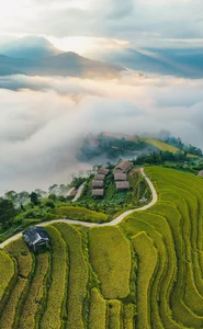 Hoang Su Phi Golden Season: A Gen Z Travel Guide to Ha Giang - image 4