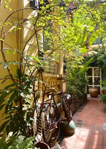Discover Hanoi’s Michelin-Recommended Lotus Cuisine: A Culinary Journey into Vietnamese Tradition - image 1