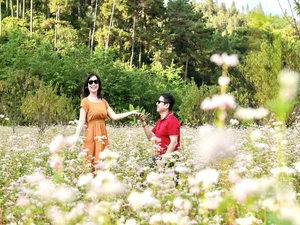 Vietnamese Artist Chi Trung Explores Australia: A Romantic Travel Journey with His Partner - image 1