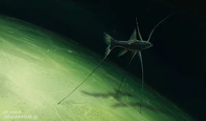 Discover the Mysterious Tripod Fish: A Bizarre Deep-Sea Creature Standing on the Ocean Floor (Bathypterois grallator) - image 0