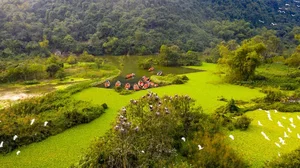 Spectacular Wild Bird Sightings and Ecotourism Wonders in Vietnam's Natural Sanctuaries - image 1