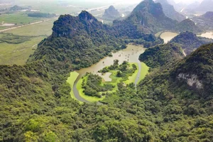 Spectacular Wild Bird Sightings and Ecotourism Wonders in Vietnam's Natural Sanctuaries - image 14