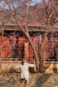 Discover Mù Cang Chải's Tớ Dày Flower Season: The Captivating Beauty of Northwestern Mountains Awaits You! - image 9