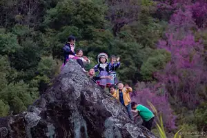 Discover Mù Cang Chải's Tớ Dày Flower Season: The Captivating Beauty of Northwestern Mountains Awaits You! - image 5