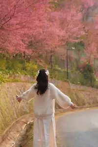 Discover Mù Cang Chải's Tớ Dày Flower Season: The Captivating Beauty of Northwestern Mountains Awaits You! - image 0