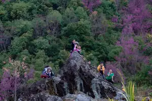 Discover Mù Cang Chải's Tớ Dày Flower Season: The Captivating Beauty of Northwestern Mountains Awaits You! - image 4