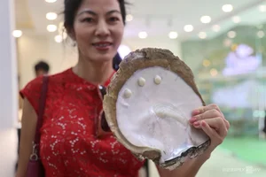 A Unique Journey: Exploring the Art of Pearl Harvesting in Ho Chi Minh City's Hidden Districts - image 1