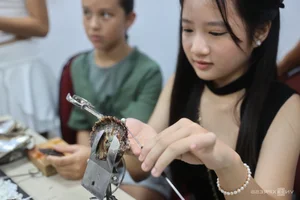 A Unique Journey: Exploring the Art of Pearl Harvesting in Ho Chi Minh City's Hidden Districts - image 0
