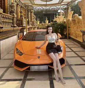 Inside the Luxurious Lifestyle and Elegance of the Nghe An Castle Heiress - image 2