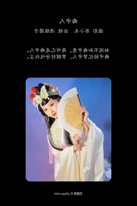 Delicate Sophistication: YiTuYu Art Language Vol.7913 Featuring Jiu Niang Yuan Zi - image 3