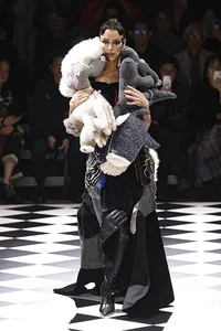 Paris Fashion Week Fall-Winter 2026: Bold Runway Trends, Iconic Celebrity Style, and Avant-Garde Beauty Highlights from the World’s Fashion Capital - image 14