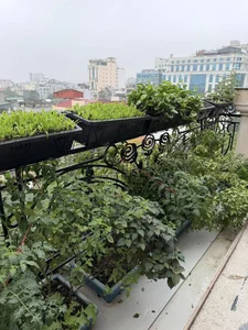 Inside the Lush Garden Oasis of a Famous Beauty Queen’s Private Villa - image 9