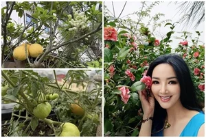 Inside the Lush Garden Oasis of a Famous Beauty Queen’s Private Villa - image 11