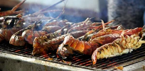 Sustainable Travel in Bai Dong: A Deep Dive into Thanh Hoa’s Peaceful Oasis - image 9