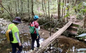 Ultimate 2024 Guide to Bach Ma National Park: Trekking, Waterfalls, and Nature in Vietnam - image 4