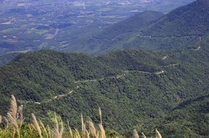 Ultimate 2024 Guide to Bach Ma National Park: Trekking, Waterfalls, and Nature in Vietnam - image 1