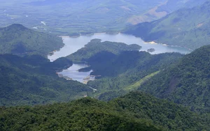 Ultimate 2024 Guide to Bach Ma National Park: Trekking, Waterfalls, and Nature in Vietnam - image 8