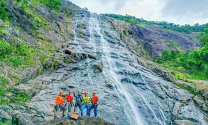 Ultimate 2024 Guide to Bach Ma National Park: Trekking, Waterfalls, and Nature in Vietnam - image 6