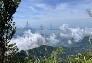 Ultimate 2024 Guide to Bach Ma National Park: Trekking, Waterfalls, and Nature in Vietnam - image 5