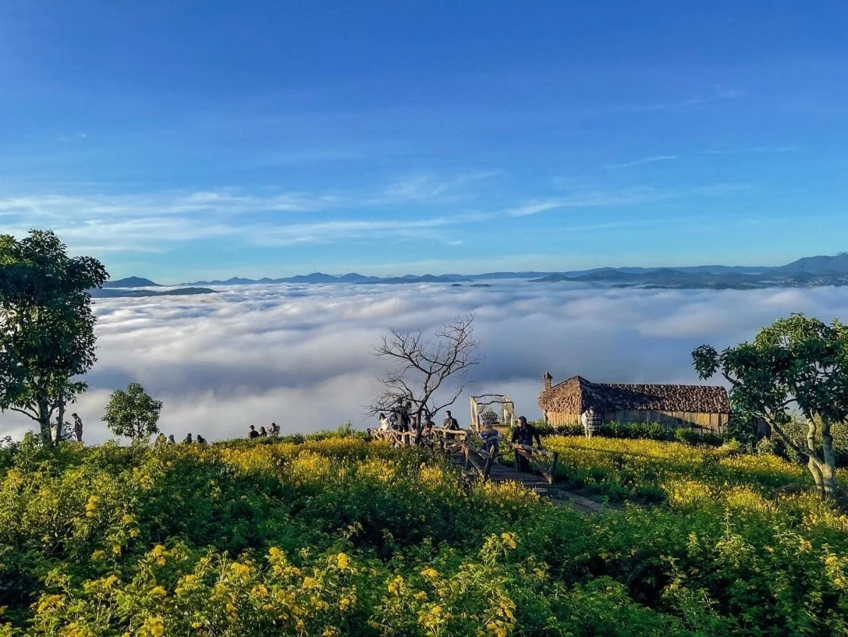 5 Healing Travel Destinations in Vietnam: A Journey to Reconnect with Nature and Inner Peace