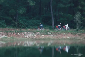The Transformation of Hue's Abandoned Dragon Park: From Eerie Ruin to Refurbished Landmark - image 3